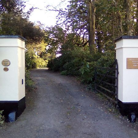 Westleigh House Farm Bed and Breakfast Bideford Exteriör bild