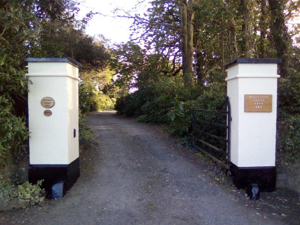 Westleigh House Farm Bed and Breakfast Bideford Exteriör bild