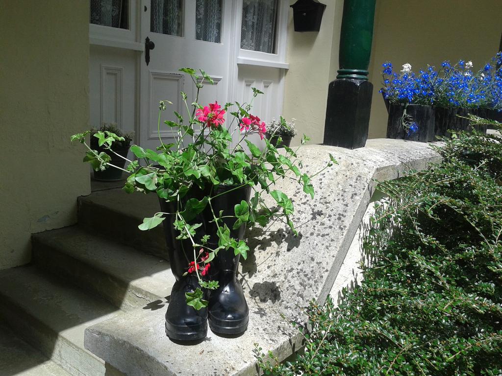Westleigh House Farm Bed and Breakfast Bideford Rum bild