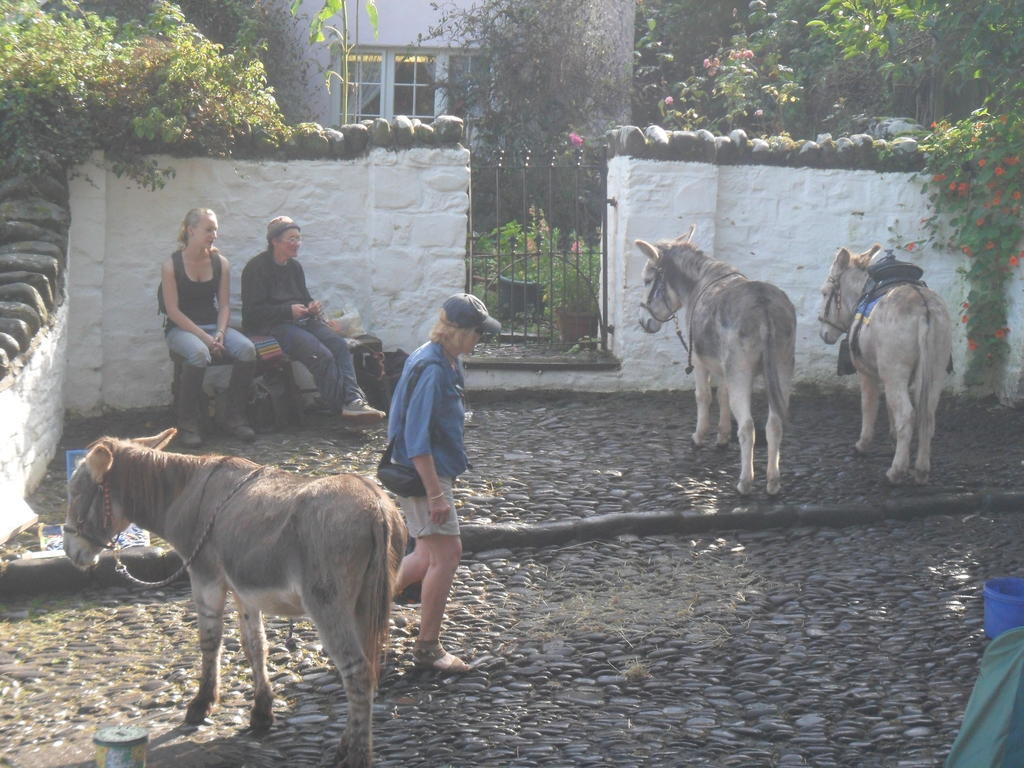 Westleigh House Farm Bed and Breakfast Bideford Exteriör bild